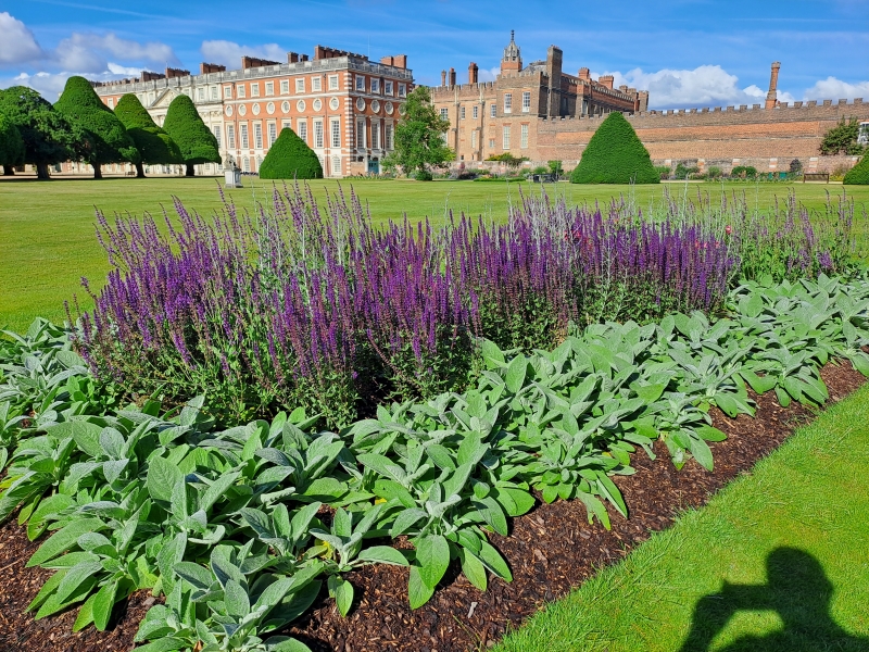 Hampton Court Palace